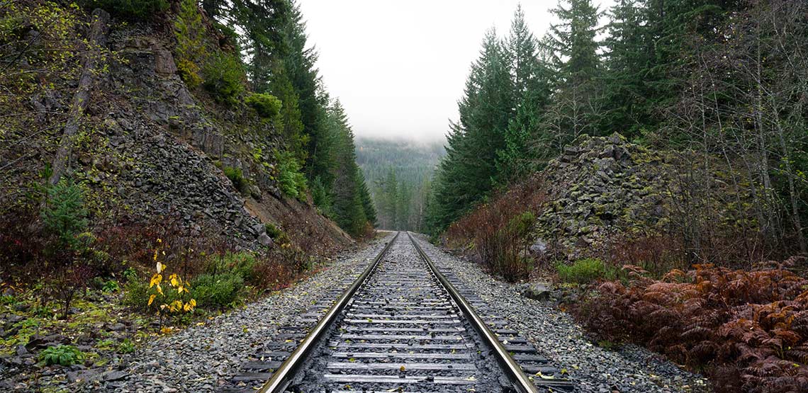 Railway tracks through the woods.