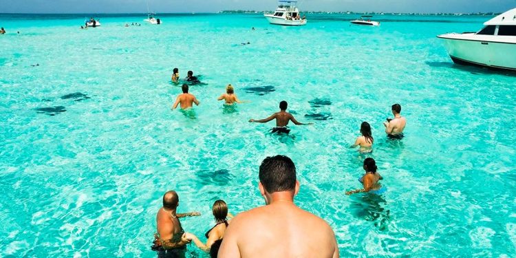 People in the water with stingrays