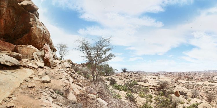 vast desert landscape in Somalia