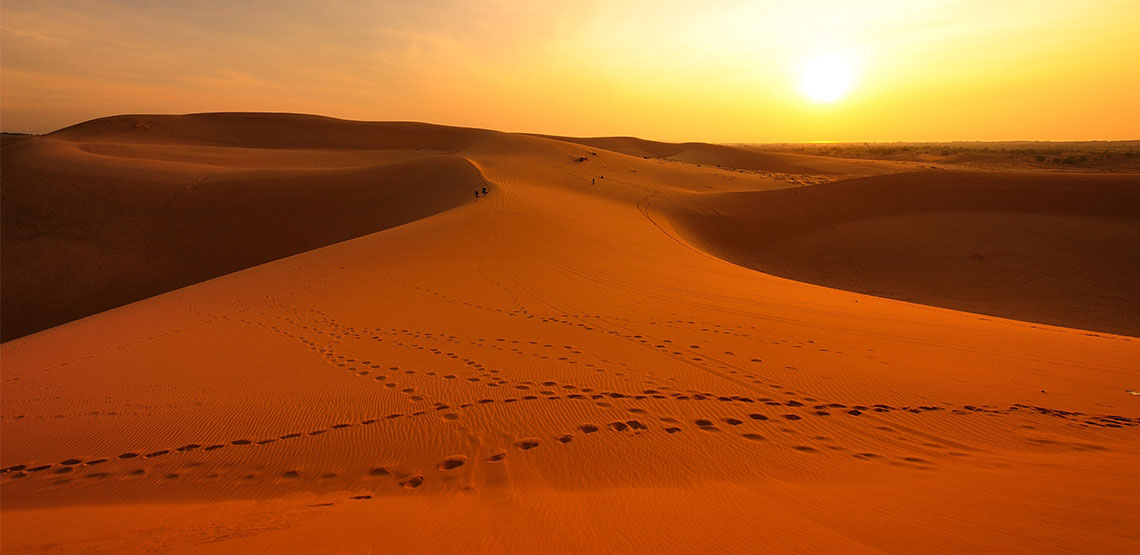 footprints in the sand of the Sahara Desert