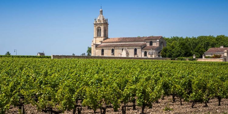 sun-soaked vineyards in Aquitaine
