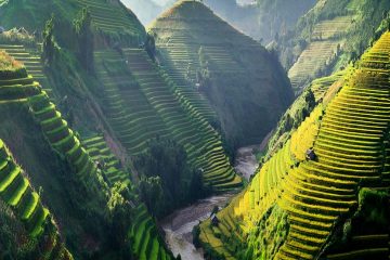 Green hills in Vietnam