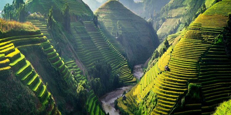 Green hills in Vietnam
