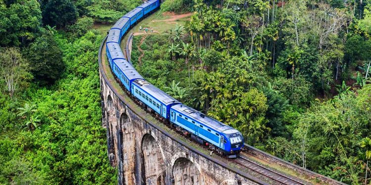 Blue train on bridge through the jungle.
