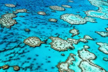 aerial view of the great barrier reef