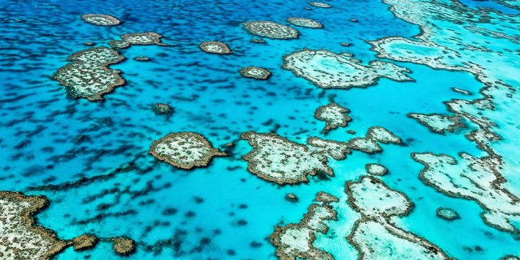 aerial view of the great barrier reef