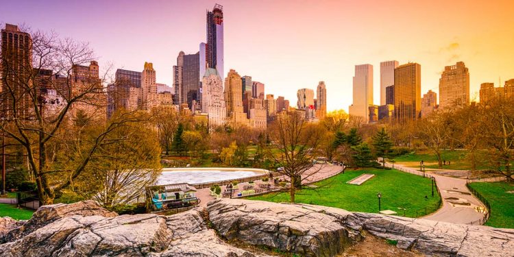 central park in New York City at sunrise