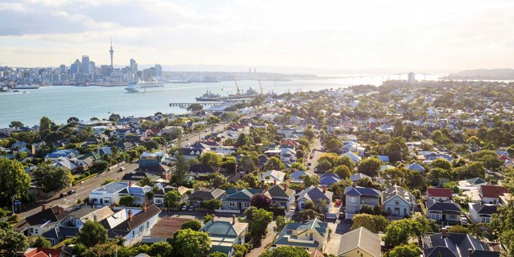 suburbs in auckland, new zealand by the water