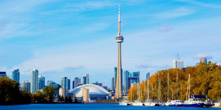 cn tower overlooks toronto harbourfront during fall