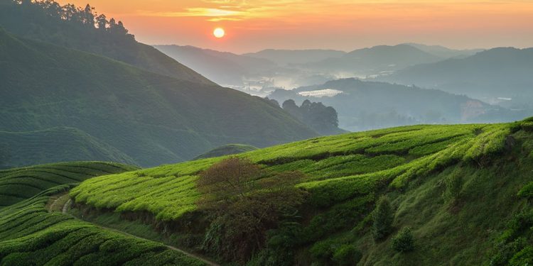Sun rises over rolling green hills