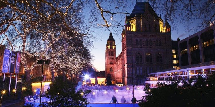 London's Natural History Museum lit up at night