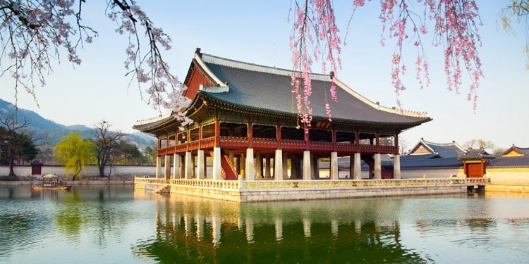 South Korean palace building on a lake, with cherry blossoms in the foreground