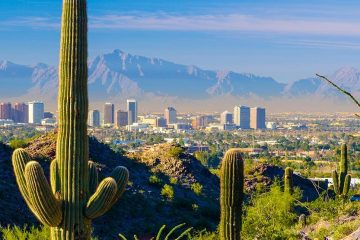 Several cacti with Phoenix in the background and the mountains beyond