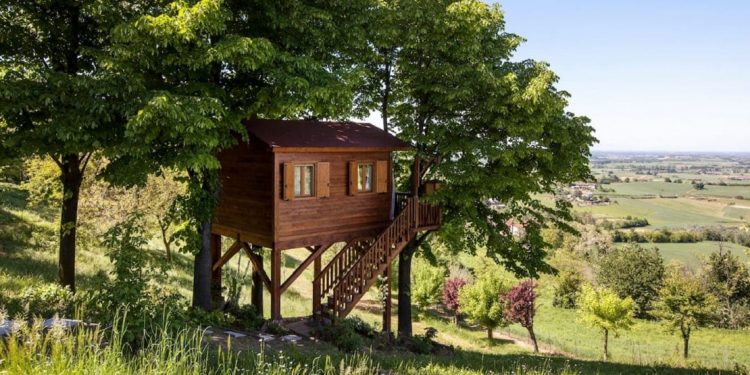 A small treehouse with two windows and a staircase is in-between two trees in the country-side