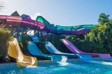 Four different colored water slides lead to a pool.