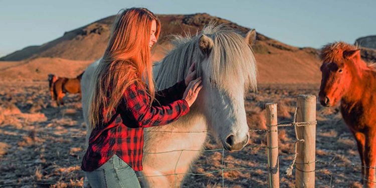 A woman is gently petting a long-haired horse in a desert-like setting.