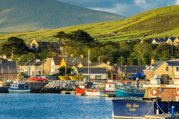 A small coastal town includes farming fields, houses, and a docking pier for boats