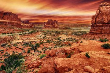 Desert with rocks