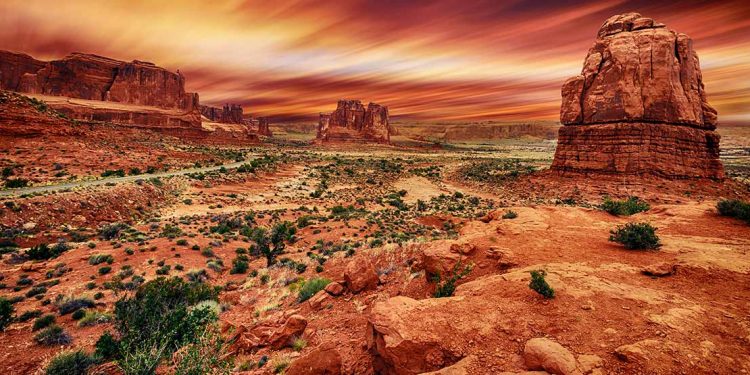Desert with rocks