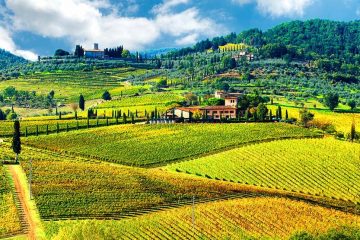 The Italian country side is covered with fields of crops and abundance of nature