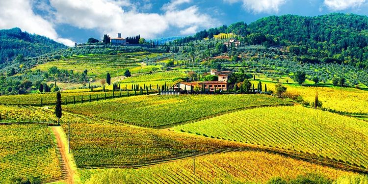 The Italian country side is covered with fields of crops and abundance of nature