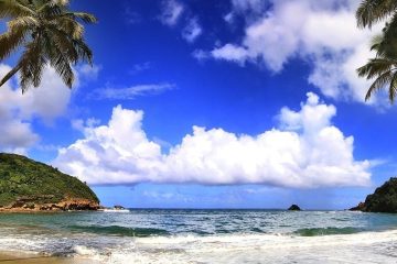 Cove with rushing ocean water and green hills on either side. Palm trees extending out over water from beach.