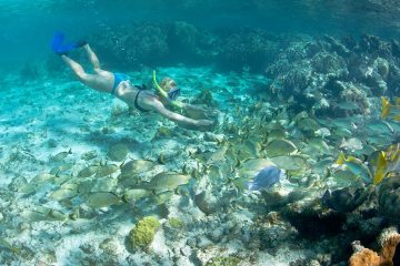 Woman in bikini with snorkel and mask swimming along ocean floor into a school of beige colored tropical fish.