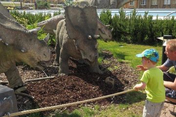 Dad crouching down beside toddler son who is holding onto rope barrier between him and models of triceratops.