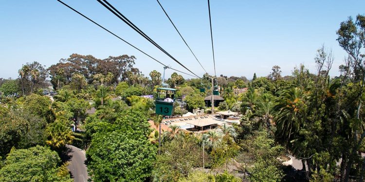A family is riding an aerial tramway over parts of the San Diego Zoo