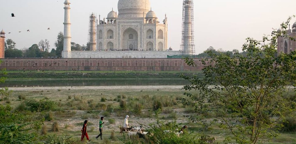 Three people with a small herd of goats walk in front along flat ground with Taj Mahal in the background, behind a wall.