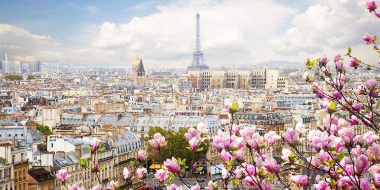 Pink blossoms in foreground with light colored city in background. Eiffel Tower is visible.