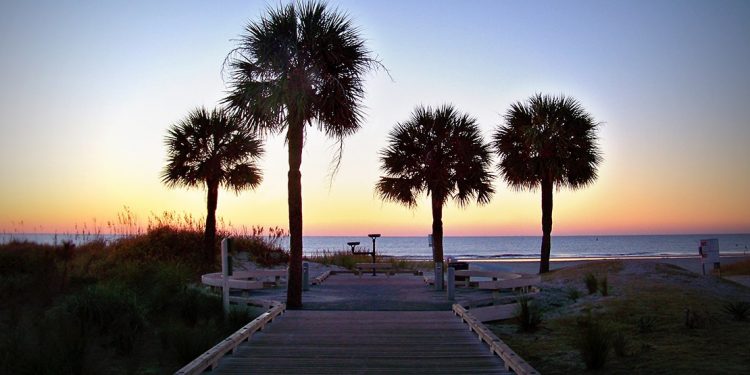 Palm trees silhouetted in the sunset at the end of a boardwalk out to the ocean.