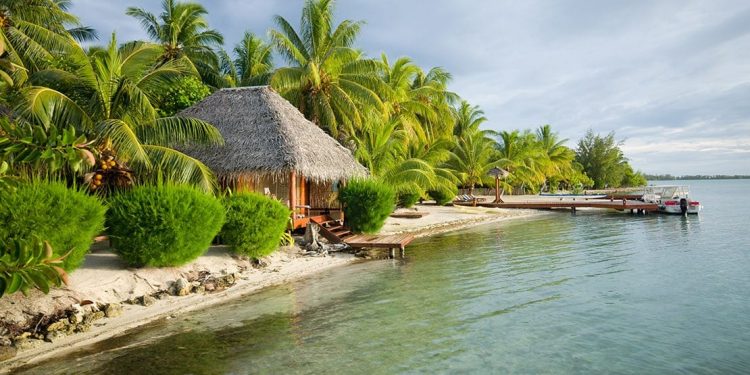 Grass-roofed hut beside the water with palm trees and bushes.