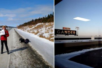 Splitscreen of woman in red jacket hitchhiking at side of the road with sign for Gander and view of the Gander airport.