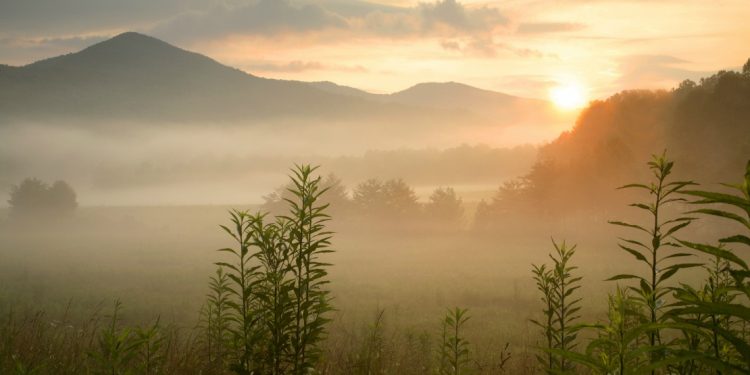 Foggy morning in a field with Smoky Mountains looking in background as sun peaks over their crest.