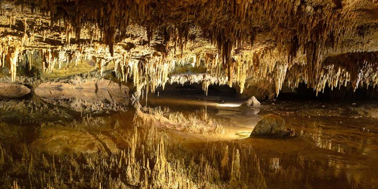 An underground cave with stalactites hanging from the ceiling and reflecting in a shallow pool of water.