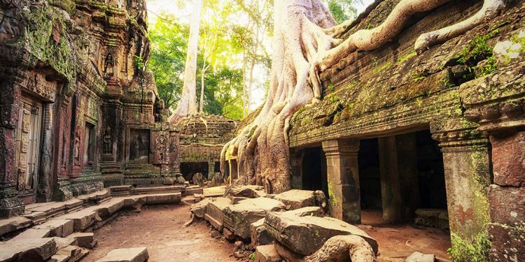 The ruins of Angkor Wat, with tree roots climbing down the sides of stone structures that are tinged with moss.