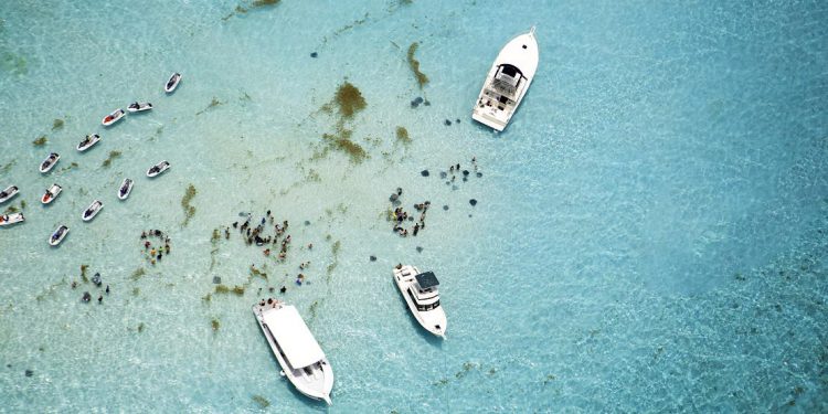 Aerial view of boats and stingrays in water
