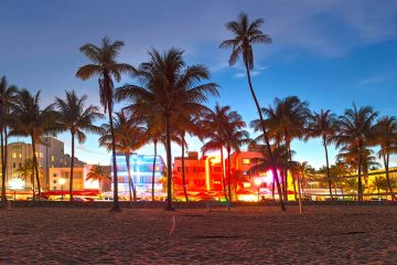 A beach in the foreground with palm trees in the middle ground and buildings in the background lit up with colored lights.