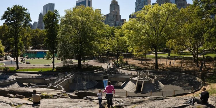 A playground and skate park in Central Park.