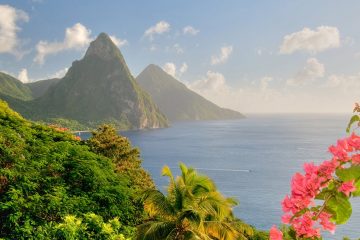 A view of the mountains and ocean in St. Lucia, Caribbean, with pink flowers in the foreground.