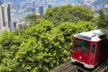 A tram-train with numerous trees surrounding the vehicle is overlooking a city landscape