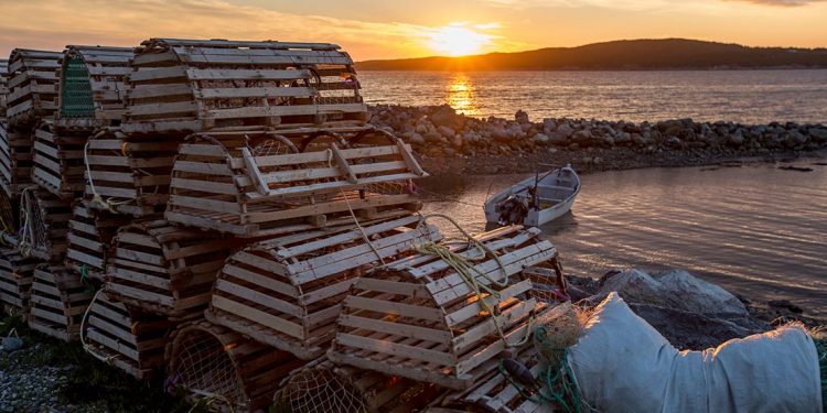 Lobster traps stacked near the shore.