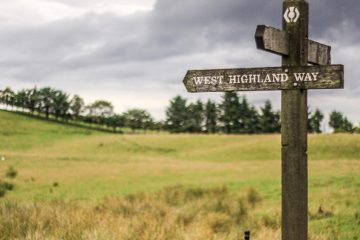 Sign post with "West Highland Way" written on it and pointing to the left. Green rolling field in the background with line of trees.