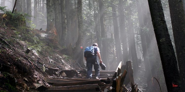 Man with backpack walking up uneven wooden steps on side of a hill with thick trees and beams of light streaming down into the forest.
