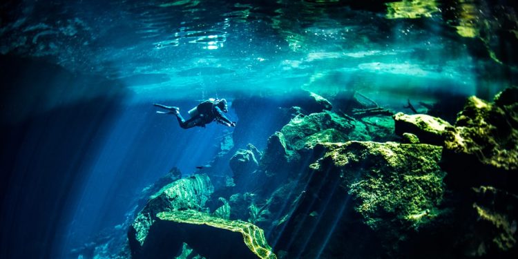 Diver exploring the underground cenotes in Cancun
