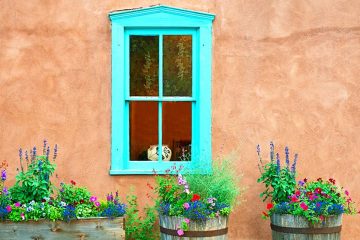 Blue window with flower boxes.