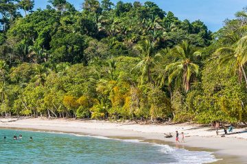 the beach in Manuel Antonio National park, costa rica