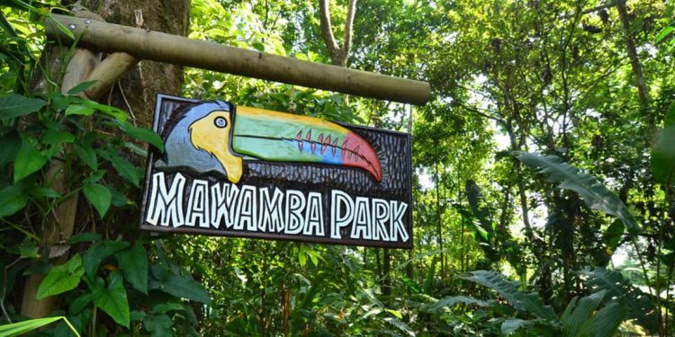 Sign with Toucan reading "Mawamba Park" in the jungle.