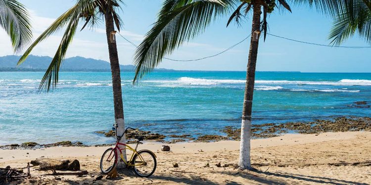 a bicycle sits in front of a palm tree in puerto viejo costa rica